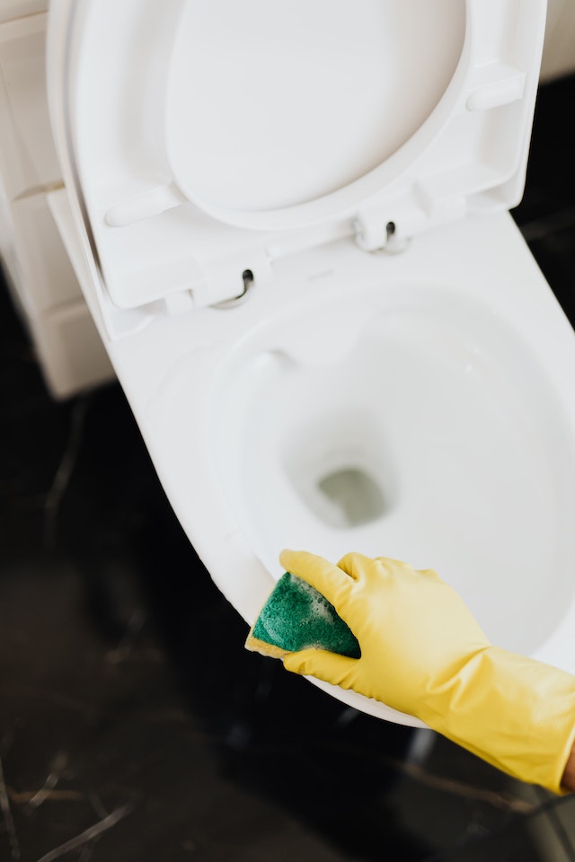 Toilet bowl getting scrubbed in Gainesville Florida.